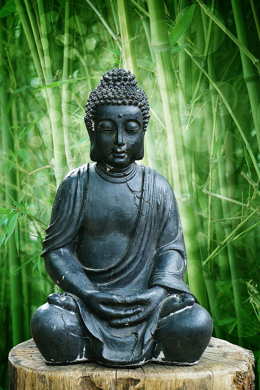 Garden Buddha Statue for Decor, Green Buddha HD phone wallpaper