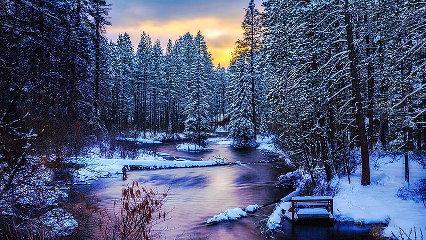 Fly Fisherman on the Metolius River, Oregon, winter, snow, colors, trees, sky, forest, sunrise, usa HD wallpaper
