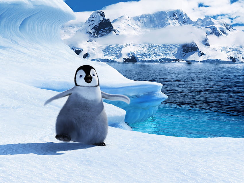 Happy Feet, zima, ptaki, rozrywka, piękny, pingwin, zwierzęta, śnieg, filmy, przyroda Tapeta HD