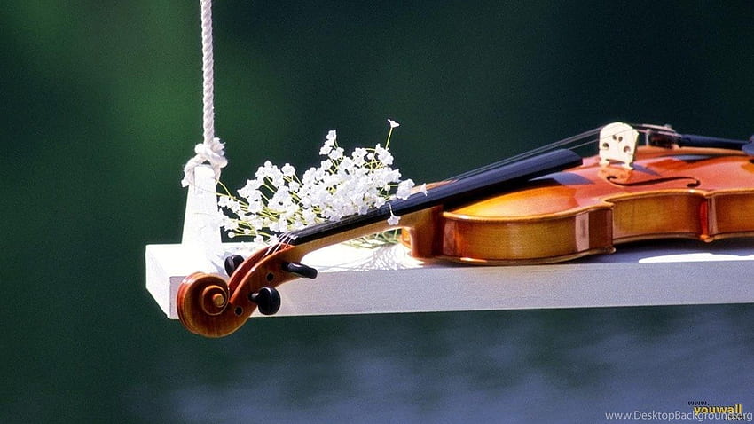 Violin And Glasses Awesome Background HD wallpaper | Pxfuel