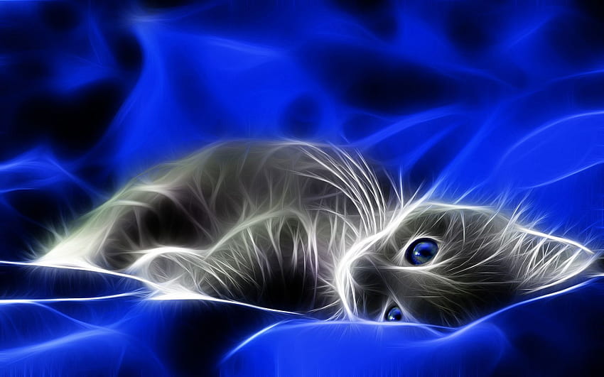 Abstract, Kitty, Kitten, Grey, Bed HD wallpaper