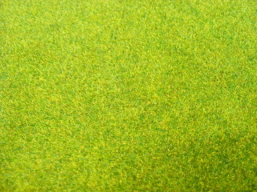 Herbe verte, Arrière-plan, Texture, Vert - Texture de l'herbe verte houblon, Texture vert clair Fond d'écran HD