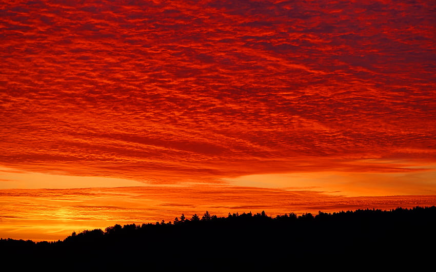 sunset, clouds, fiery, forest, Bright Sunset HD wallpaper