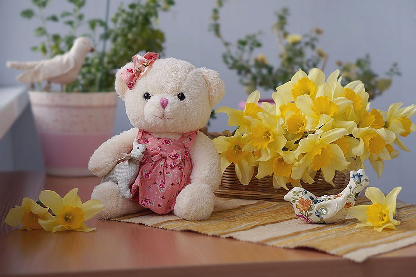 Flowers Daffodils Teddy bear HD wallpaper
