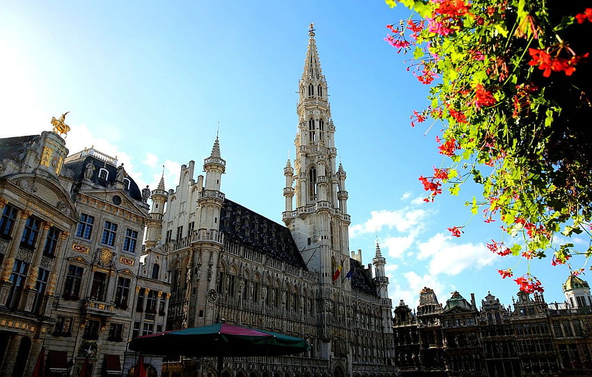 Flowers, Tree, Tower, Belgium, Brussels, Town Hall, La Grand Place For , Section город HD wallpaper