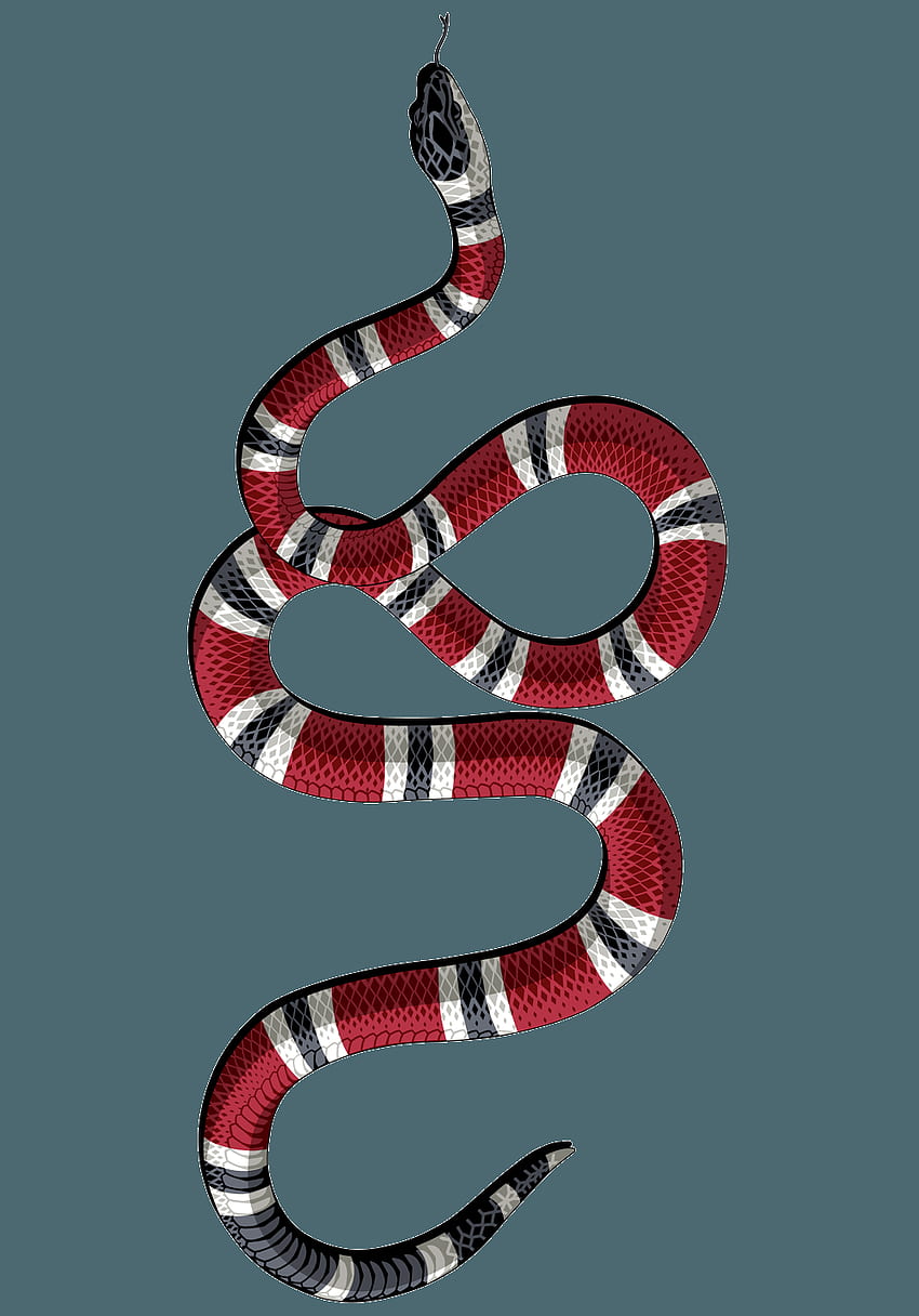 Supreme Gucci Snake Wallpapers  Top Free Supreme Gucci Snake Backgrounds   WallpaperAccess  Snake wallpaper Graphic tshirt design Gucci