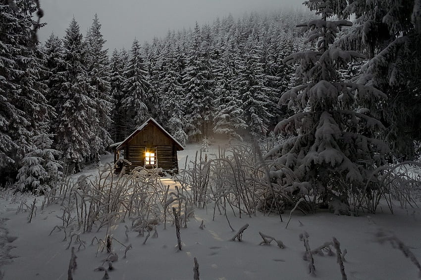 Kabin musim dingin, Pondok, Pohon pinus, Alam, Pedesaan Wallpaper HD