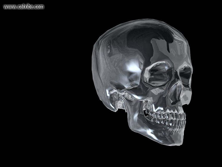 Dimensionnelle : Crâne de cristal squelette en métal, nr. 6954, Crâne en métal noir Fond d'écran HD