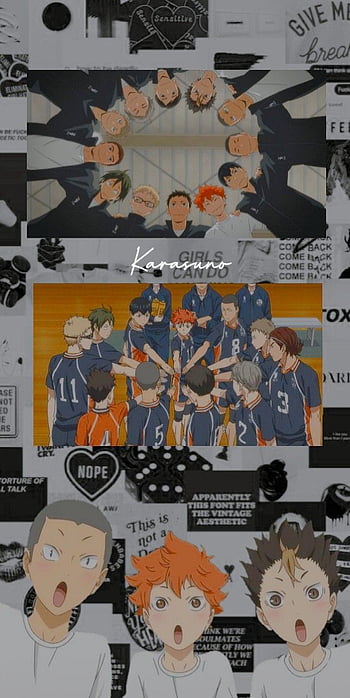 Haikyuu!!! Karasuno  Haikyuu wallpaper, Haikyuu, Haikyuu anime