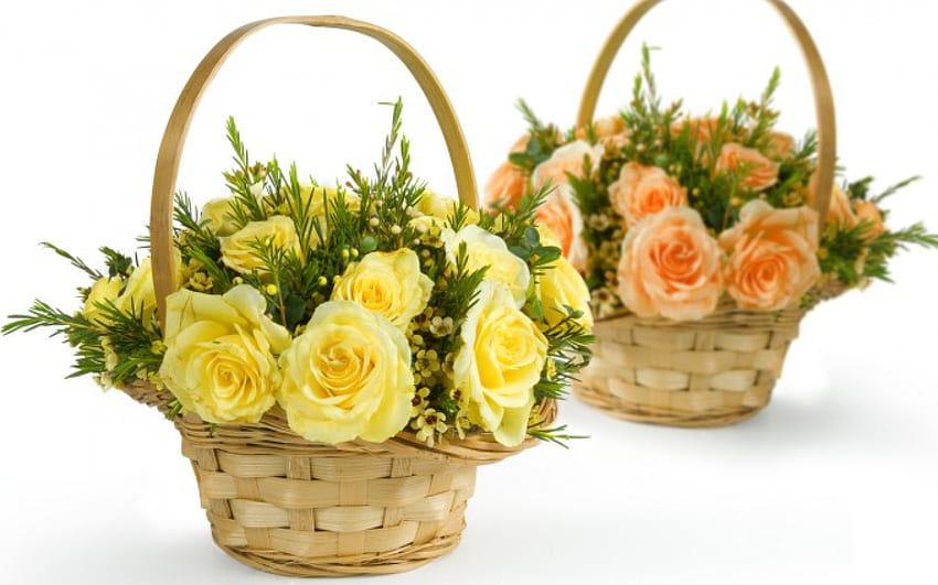 กระเช้าดอกกุหลาบ ดอกกุหลาบ ดอกกุหลาบ พีช สีเหลือง กระเช้า วอลล์เปเปอร์ HD