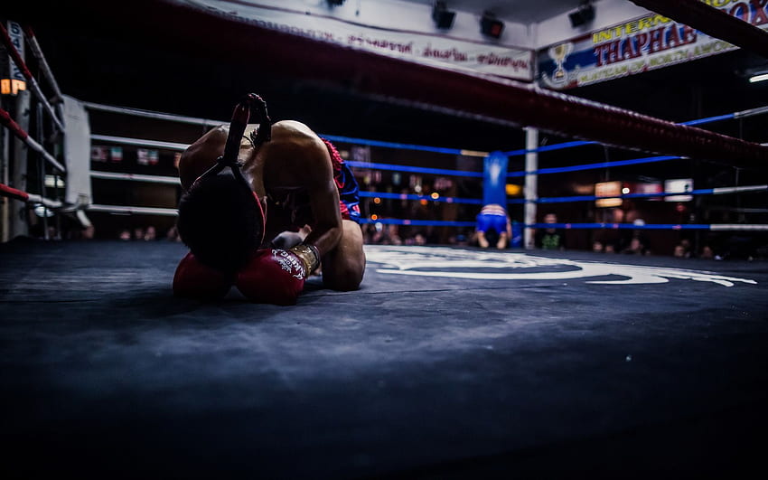 Muay Thai Boxe - Ring di pugilato -, Boxeo Sfondo HD