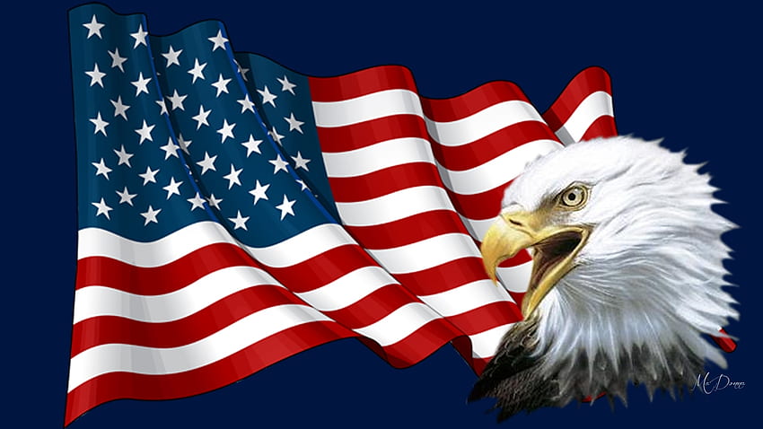 America the Beautiful, eagle, red whie and blue, USA, United States ...