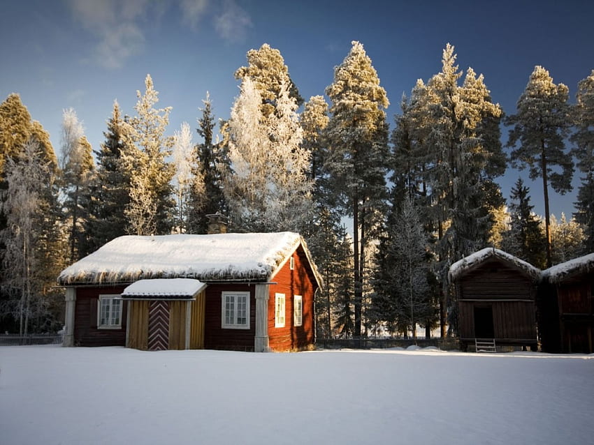 A little red cosy cabin, snow, red, trees, cosy, cabin, little HD wallpaper