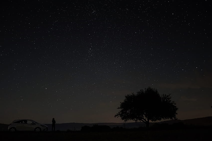 ท้องฟ้า กลางคืน มืด ไม้ ต้นไม้ ท้องฟ้าเต็มไปด้วยดวงดาว วอลล์เปเปอร์ HD