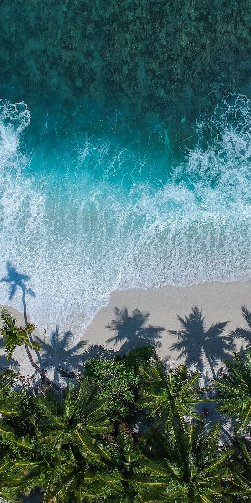 Красив плаж, изглед от въздуха, палми, море [] за вашия мобилен телефон и таблет. Разгледайте плажа Drone View. Drone View Beach HD тапет за телефон