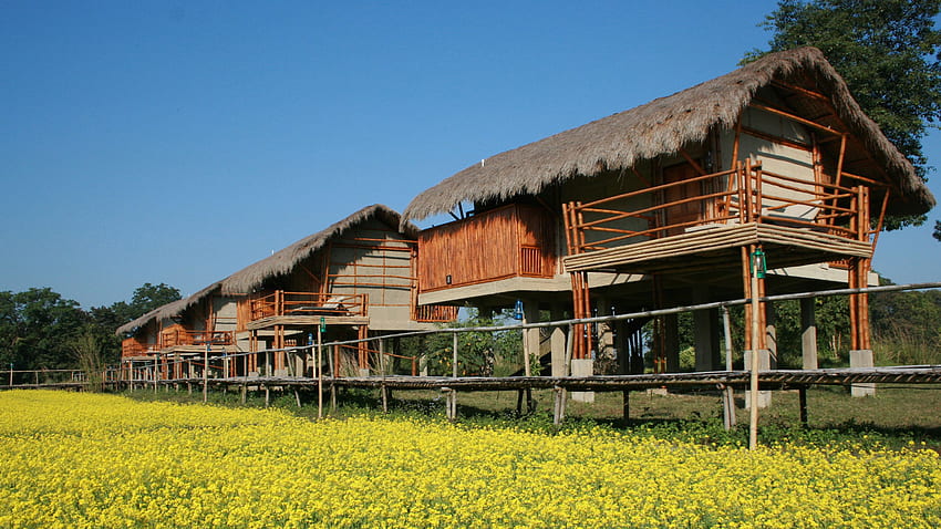 Diphlu River Lodge, Hindistan - Doğal Dünya Safarileri, Kaziranga Ulusal Parkı HD duvar kağıdı