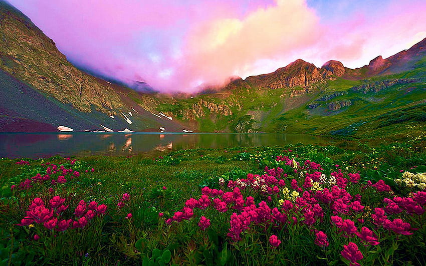 Clear Lake Dawn, Oregon, çiçekler, manzara, bulutlar, renkler, gökyüzü, çiçekler, dağlar, ABD HD duvar kağıdı