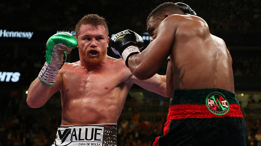 Canelo unifies middleweight titles with Jacobs win, Canelo Alvarez HD wallpaper
