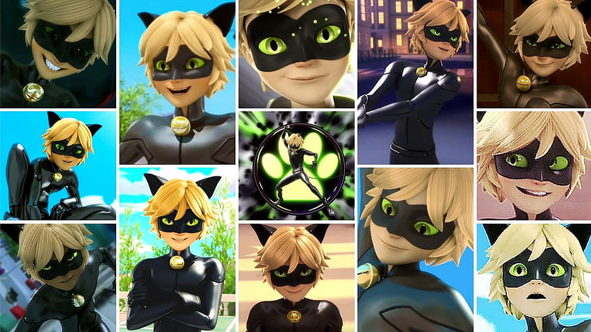 Cat Noir  Miraculous ladybug movie, Miraculous ladybug anime, Miraculous  ladybug fanfiction