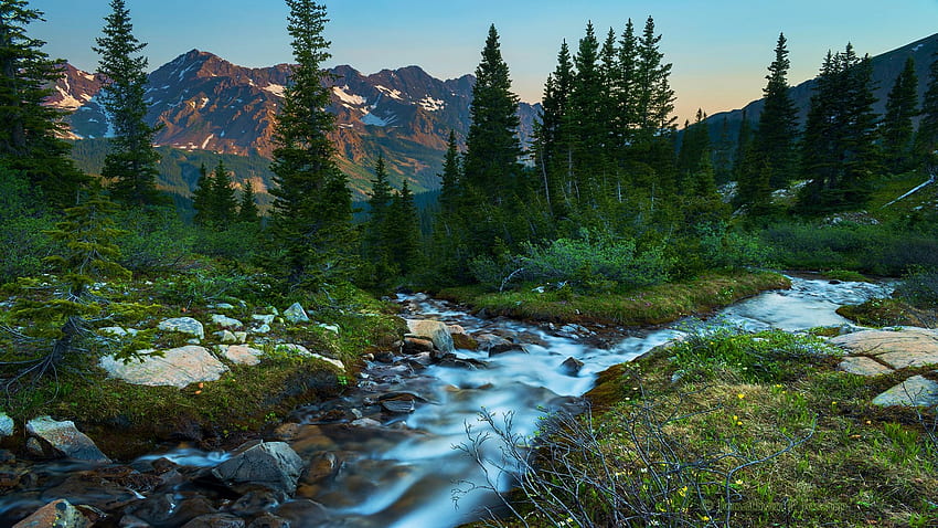 Разделящ се поток в Скалистите планини, Колорадо, скали, планина, пейзаж, дървета, САЩ, камъни HD тапет