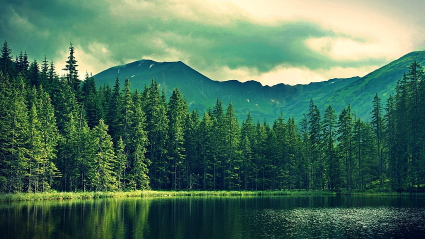 녹색 호수 숲, 대단한, , 물감, 숲 풍경, 반사, 좋은, 풍경, 1920x1080, 휘어진, 산들, 시나리오, 거울, 이끼, 경치, 호수, 녹색, 전망, 푸른, 그래픽, 소나무, 녹색 세계, 풍경화, 놀랄 만한, , 물, 장면, 아름다운, 렌더링, 멋진, 구름, 하늘, 숲 HD 월페이퍼