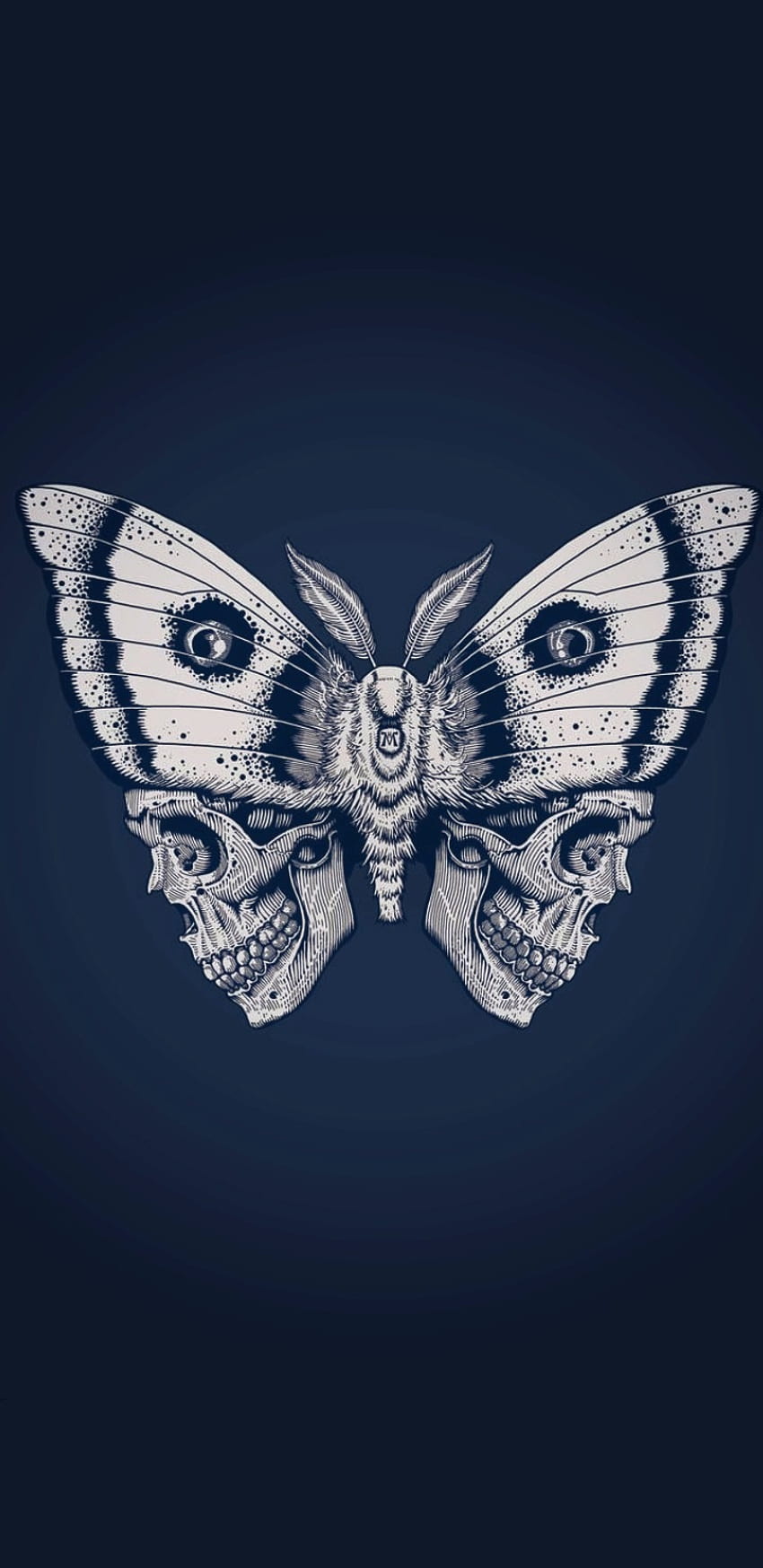Czaszka motyla, niebieska, mariposa Tapeta na telefon HD