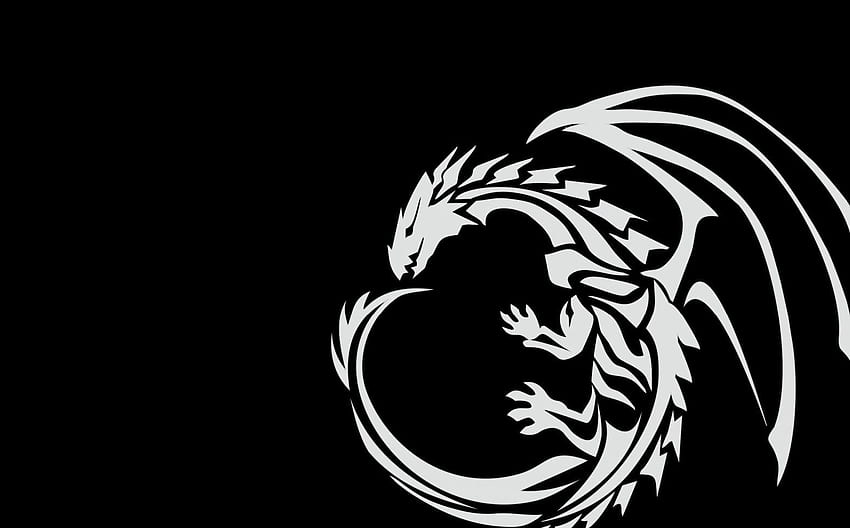 Q Background, Tribal Dragon, Black and White Dragon HD wallpaper