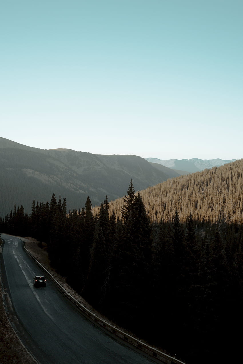 Nature, Mountains, Road, Forest, Car, Movement, Traffic HD phone wallpaper