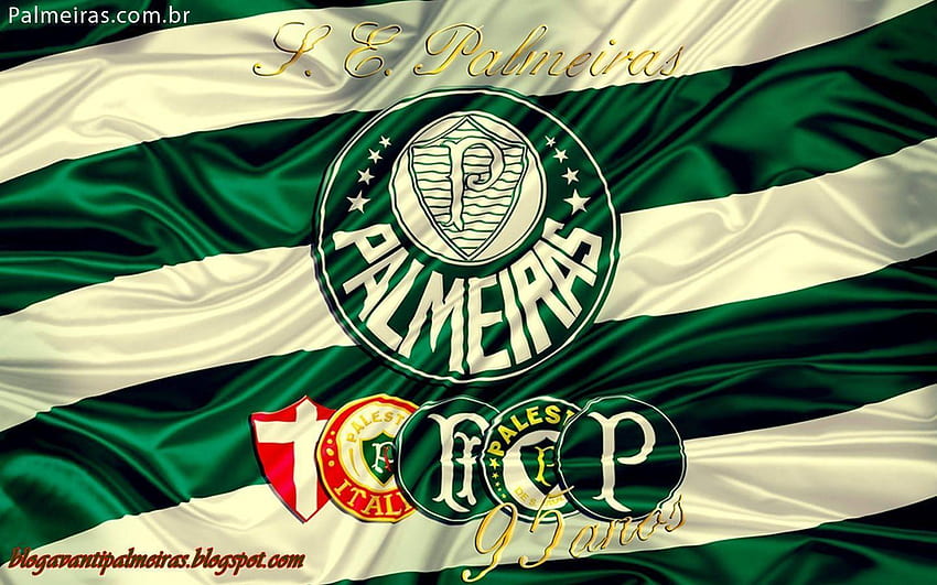 Palmeiras HD wallpaper