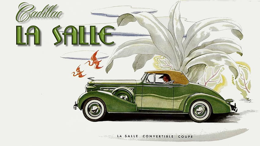 1936 Cadillac LaSalle 2 dr convertible, cadillac art, la salle, cadillac, vintage cadillac, cadillac , 1936 Cadillac HD wallpaper