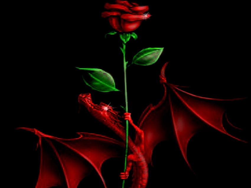 Rose And Dragon - Hybrid Tea Rose - HD wallpaper