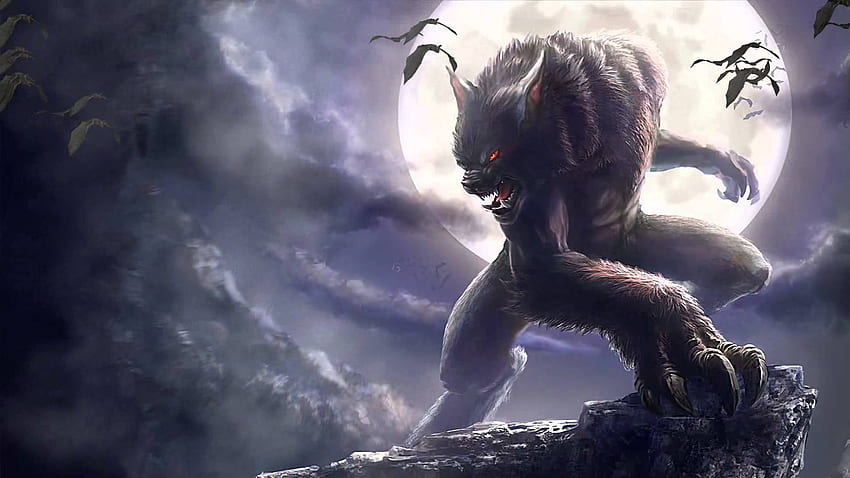 Werewolf Animated , Legendary Wolf HD wallpaper