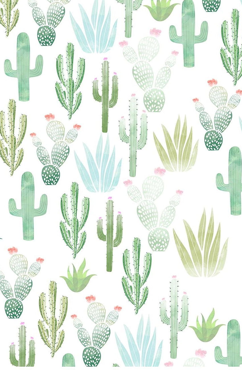 Ästhetischer süßer Kaktus, süße Sukkulente HD-Handy-Hintergrundbild
