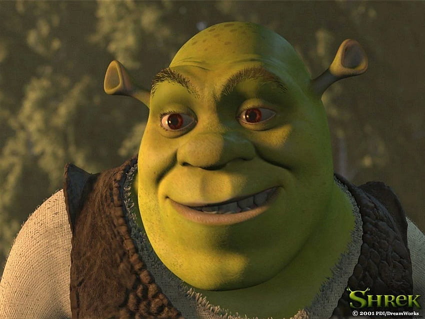 Shrek Gallery. Shrek . Kids Gallery, Shrek Memes HD wallpaper