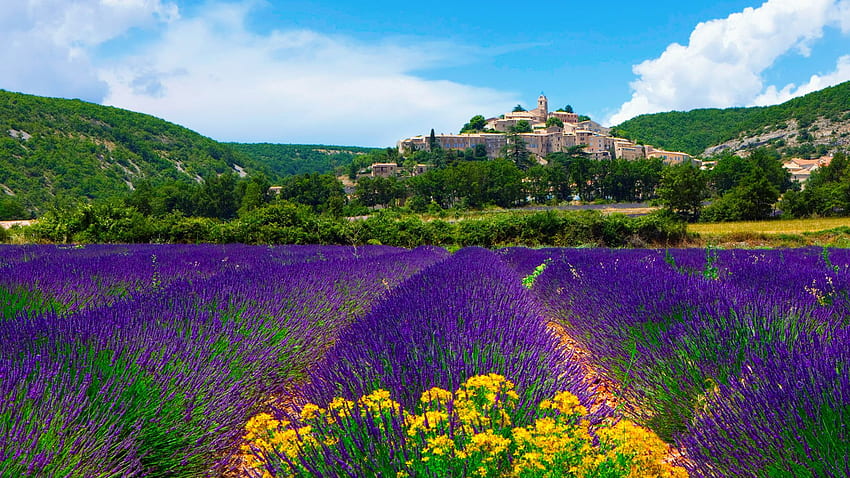 Provence Fransa Lavanta Tarlası - HD duvar kağıdı