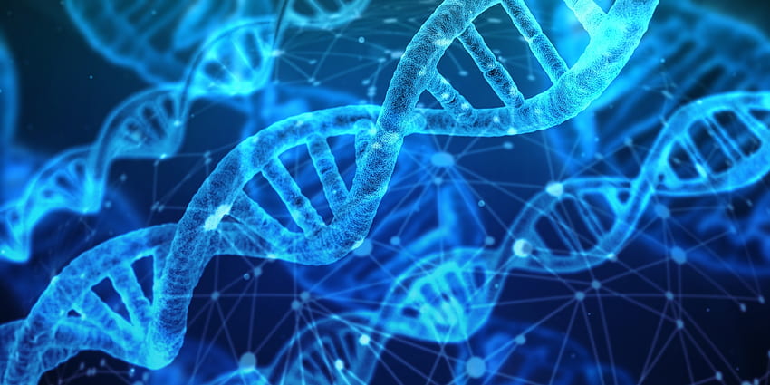 DNA, Helix structure, digital art HD wallpaper
