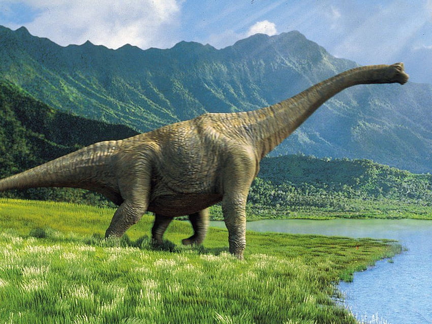 Braquiossauro . Brachiosaurus, Brachiosaurus Jurassic Park e Blue Brachiosaurus papel de parede HD