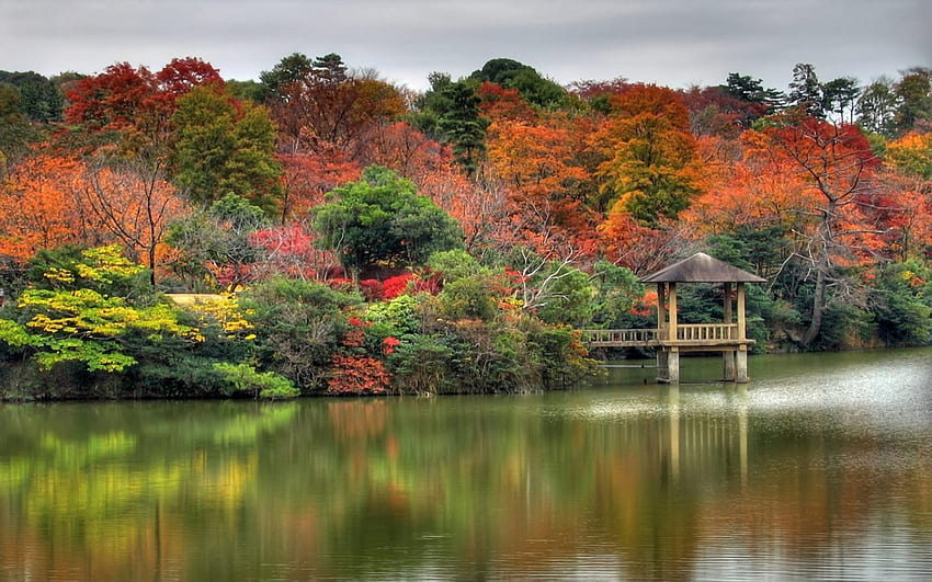 일본 자연, 물, 숲 HD 월페이퍼