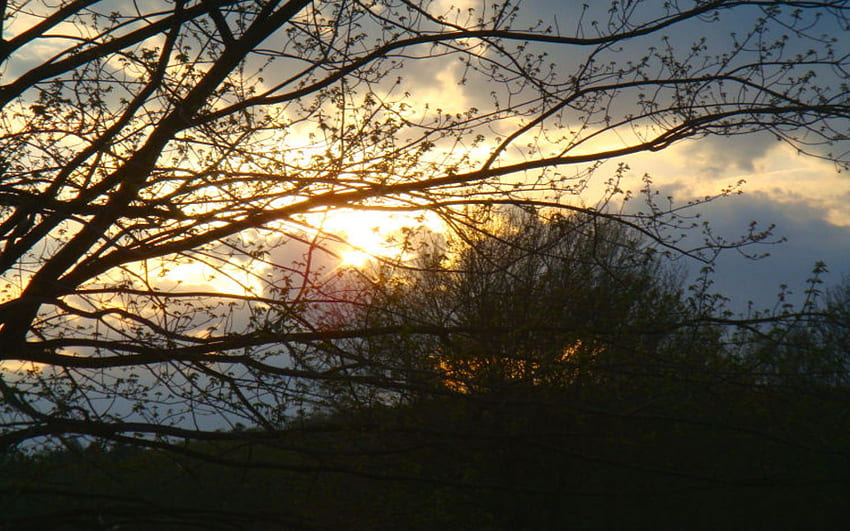 Vage Sonnenuntergang, Grafik, Sonnenuntergänge, andere, Bäume, Himmel, Wälder, Natur HD-Hintergrundbild