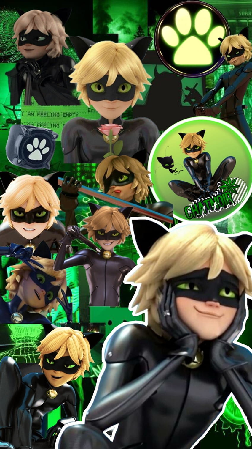 Cat noir fondo2, gato, verde, arte HD phone wallpaper | Pxfuel