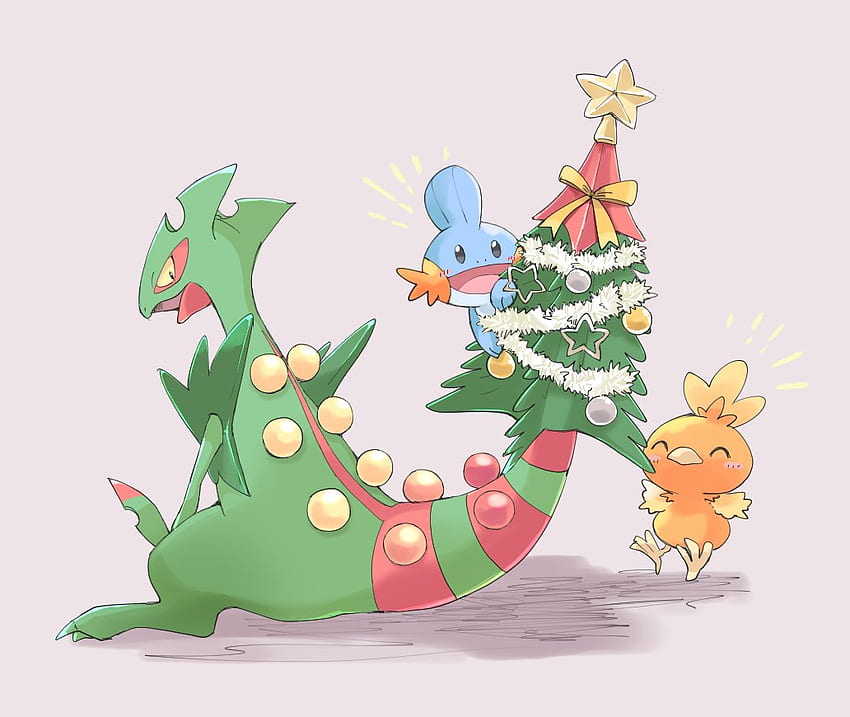 百貫 on Twitter. Pokémon species, Cute pokemon, Pokemon, Mega Sceptile HD wallpaper