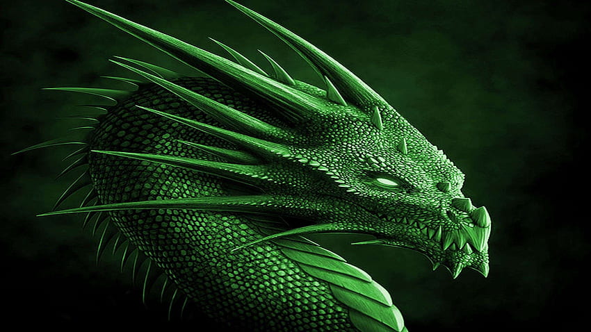 Green Dragon, Green Chinese Dragon HD wallpaper | Pxfuel