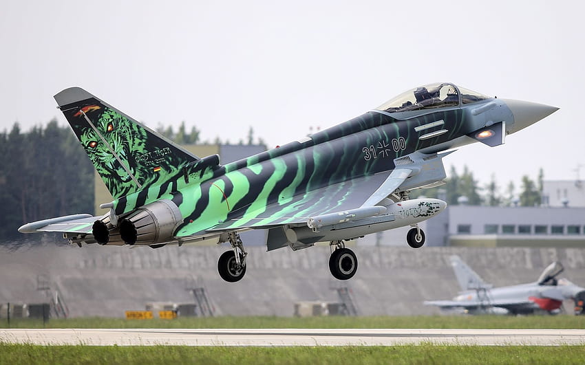de aeronaves, Eurofighter Typhoon, Jet Fighter papel de parede HD