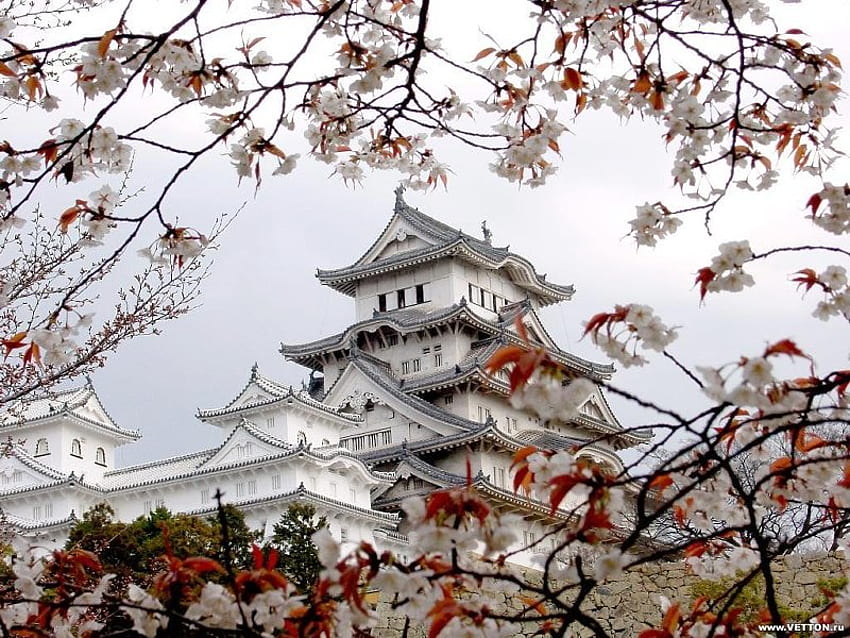 Himeji Castle in Japan, blue, white, architecture, build, himeji, japan, chinese, tree, leaves, red, sky, castle, blossom HD wallpaper