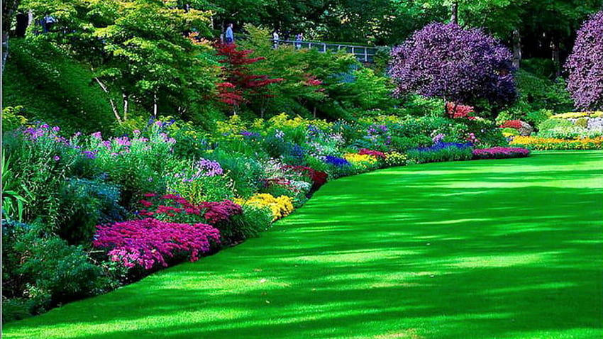 Градински фон Тенденции в градината, градини в задния двор HD тапет