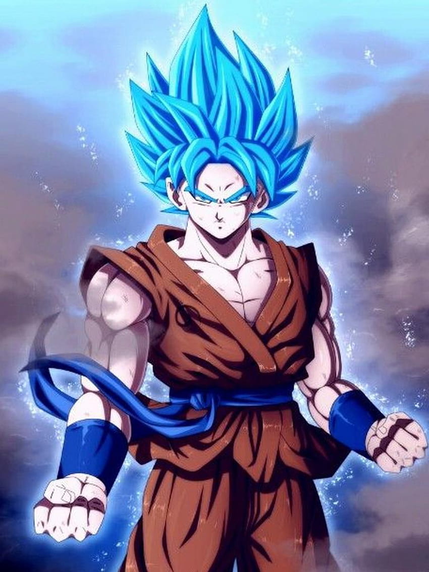 Goku Super Saiyan God Blue for Android, Goku and Vegeta Super Saiyan God HD phone wallpaper