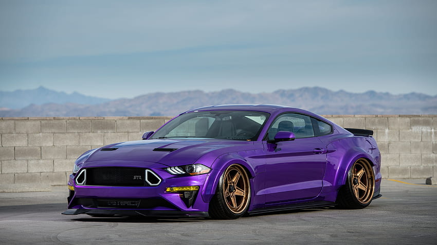 Tjin Edition Ford Mustang Ecoboost Mustang - 2019, Ford Mustang RTR HD wallpaper