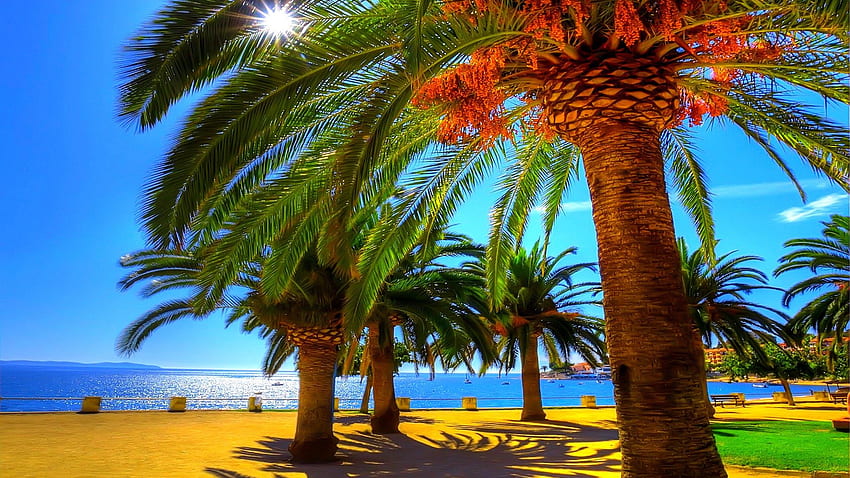 Tropical Coastline Sunshine Ocean Summer Sun Beautiful - Красота, Beach Summer Sunshine วอลล์เปเปอร์ HD