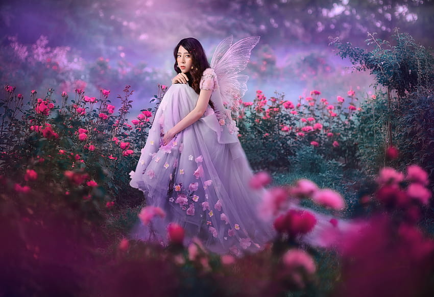Fairies, Asian, Roses, Sitting, Dress. Mocah, Garden Fairies HD wallpaper