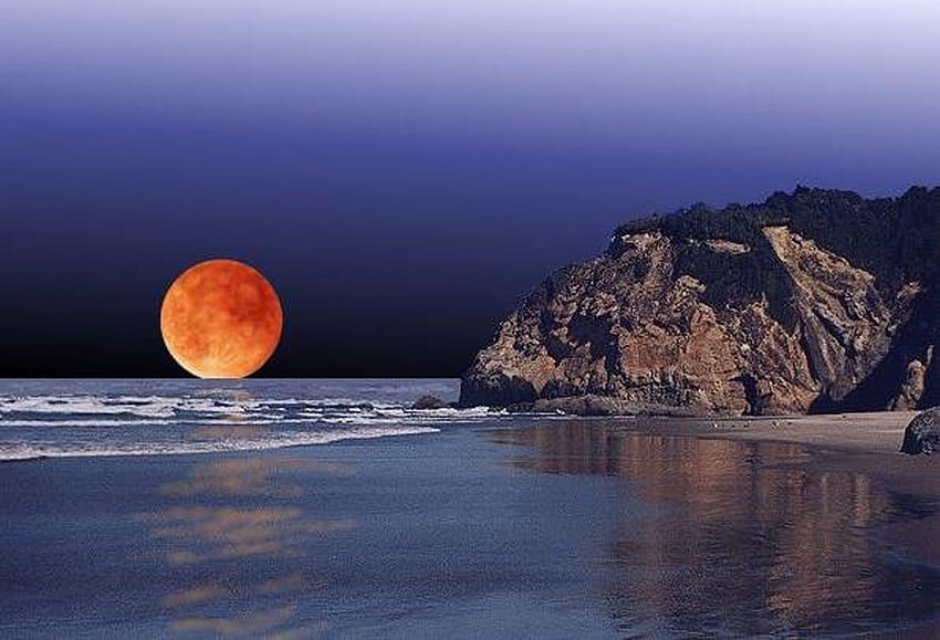 พระจันทร์ในฤดูใบไม้ร่วง, ท้องฟ้า, พระจันทร์สีส้ม, พระจันทร์เก็บเกี่ยว, พระอาทิตย์ตก, มหาสมุทร, ชายหาด วอลล์เปเปอร์ HD